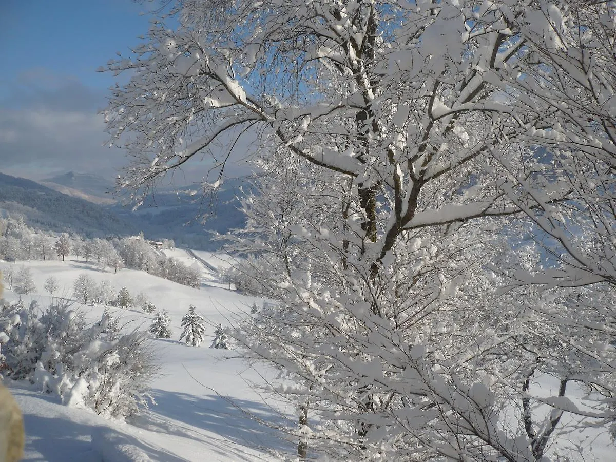 Lodole B&B Monzuno Bed & Breakfast